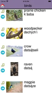 BNDN Dene Language App screenshot 3