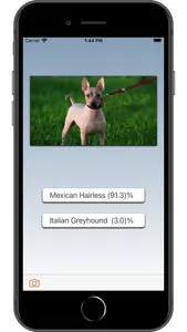 Dog Breed AI screenshot 0