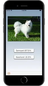 Dog Breed AI screenshot 2