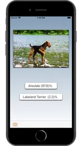 Dog Breed AI screenshot 4