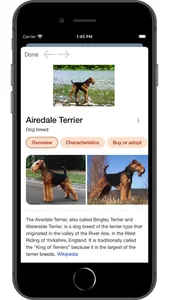 Dog Breed AI screenshot 5