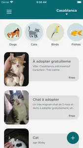 Happy Pet: Adoption Coupling screenshot 1