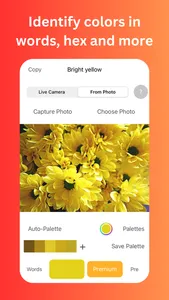 Color Identifier screenshot 3
