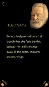 Victor Hugo - Books screenshot 8