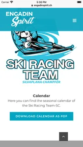 Ski Racing Team screenshot 9