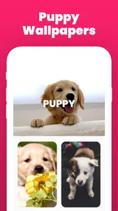 Dog Wallpaper and Backgrounds screenshot 4