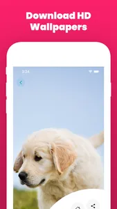 Dog Wallpaper and Backgrounds screenshot 7