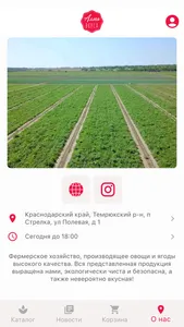 Аллея вкуса screenshot 1