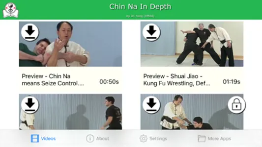 Chin Na In Depth screenshot 0