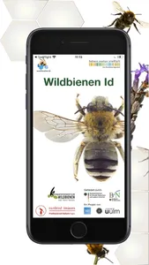 Wildbienen Id BienABest screenshot 0