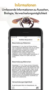 Wildbienen Id BienABest screenshot 4