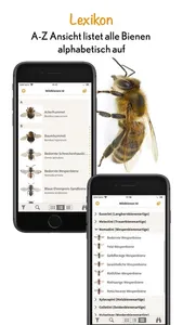 Wildbienen Id BienABest screenshot 5