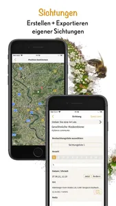 Wildbienen Id BienABest screenshot 8