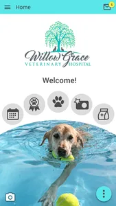 Willow Grace Vet Hospital screenshot 0