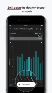 Zoho Analytics - Dashboards screenshot 7