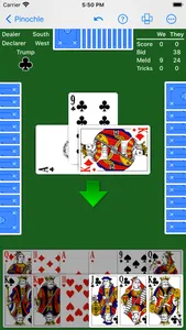 Pinochle - Expert AI screenshot 1