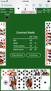 Pinochle - Expert AI screenshot 2