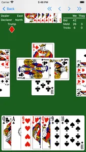 Pinochle - Expert AI screenshot 4