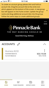 Pinnacle Bank TX Bus Premium screenshot 1