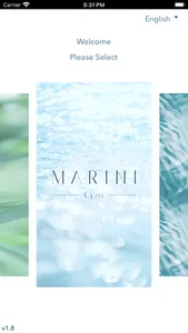 Marini Collection screenshot 0