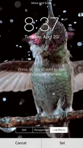 VideoToLive -  Make wallpaper screenshot 3