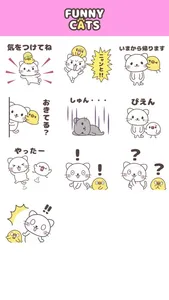 FUNNY CATS【 1 】 screenshot 2