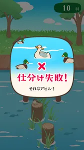 アヒルかも？ - Duck or Duck - screenshot 2