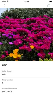 Simple Exif Viewer screenshot 1