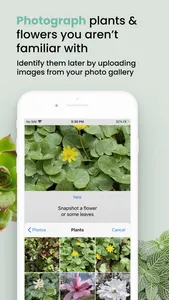 Plant ID Match: Identification screenshot 2