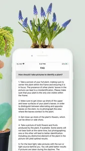Plant ID Match: Identification screenshot 4