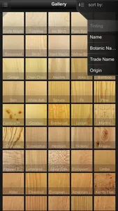Veneers 2 screenshot 5
