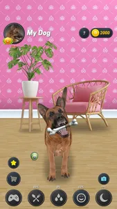 My Dog (Dog Simulator) screenshot 6