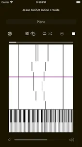 Roll Player Piano screenshot 0