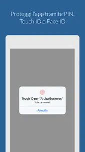 Aruba Business screenshot 1