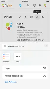 Fizlink screenshot 2