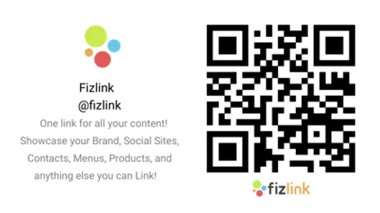 Fizlink screenshot 4