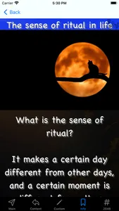 Sense of ritual screenshot 5