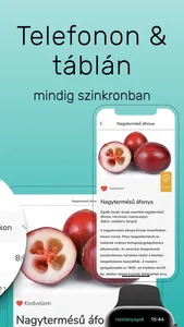 PirulaKalauz - szakértőktől screenshot 8