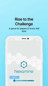 Hexamine Game screenshot 0