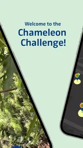 Chameleon Challenge screenshot 1