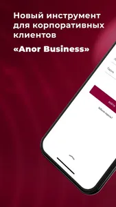 Anor Business screenshot 0