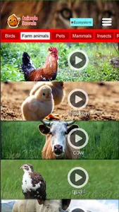 Animals Sounds Pro screenshot 2