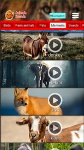 Animals Sounds Pro screenshot 4