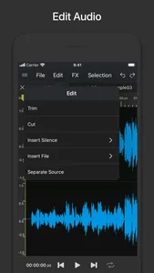 Audio Editor & Tool screenshot 1