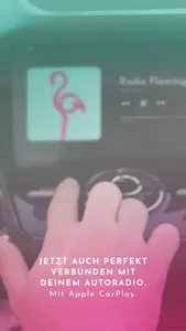 Radio Flamingo screenshot 4