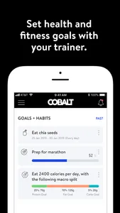 Cobalt+ screenshot 2