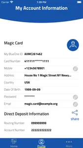 BlueOne Card screenshot 2