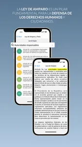 Ley de Amparo screenshot 2