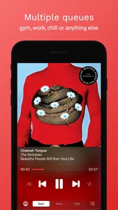 Mixtapes - Clever Music Player screenshot 0