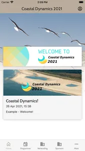 Coastal Dynamics 2021 screenshot 0